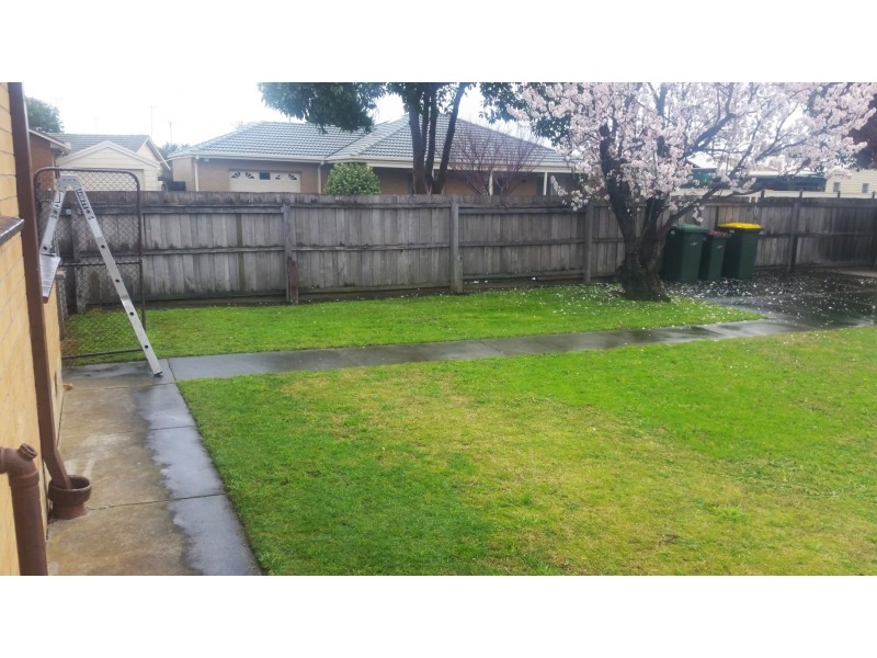 61 Sandringham Parade, Newtown VIC 3220