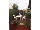 Unit 3/8 Casaceli Court, Whittington VIC 3219