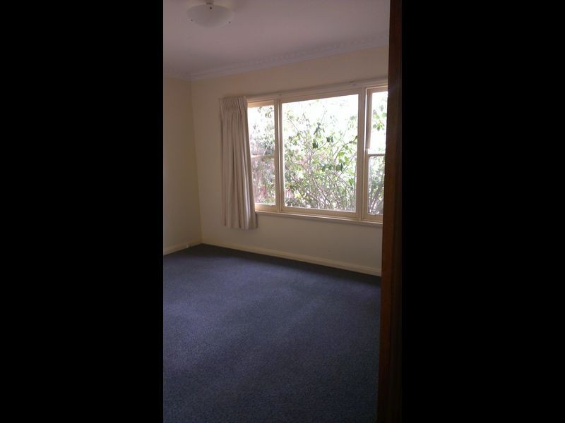 19 Apex Avenue, Belmont VIC 3216