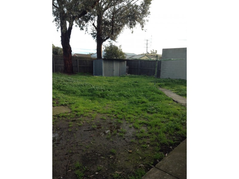 99 Fairy Street, Bell Post Hill VIC 3215