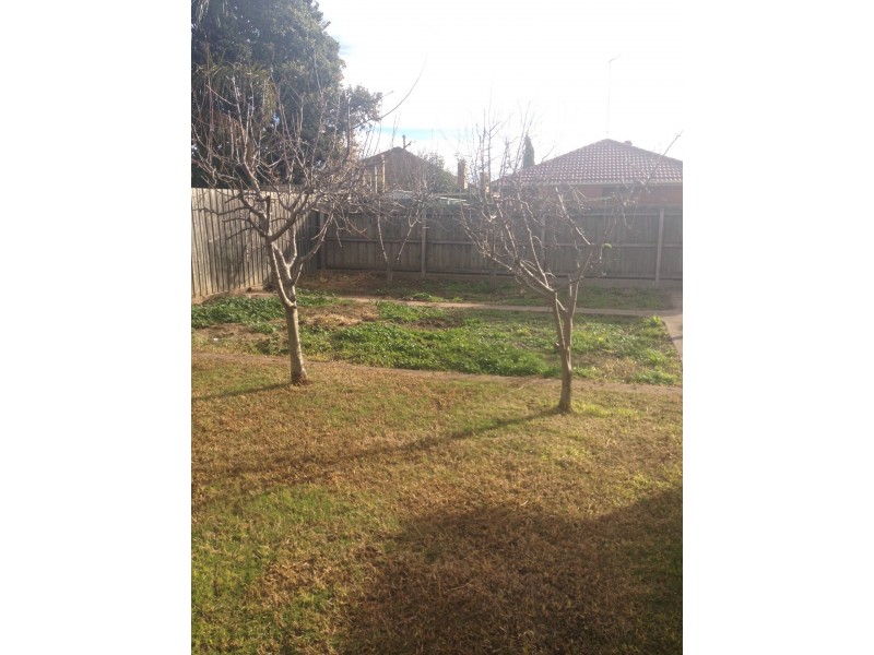 61 Giddings Street, North Geelong VIC 3215