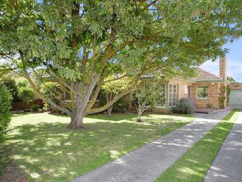 16 Panorama Road, Herne Hill VIC 3218