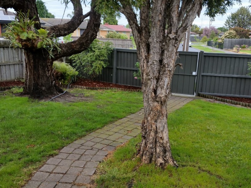 13 Armstrong Court, Whittington VIC 3219