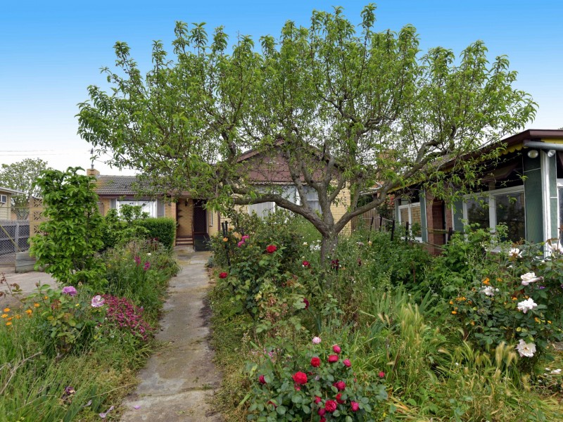 23 Sheridan Street, Hamlyn Heights VIC 3215