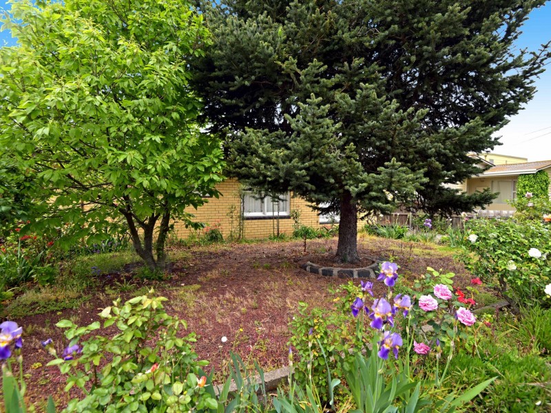 23 Sheridan Street, Hamlyn Heights VIC 3215