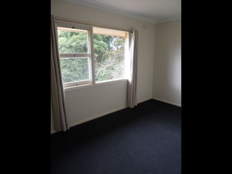 345 High Street, Belmont VIC 3216