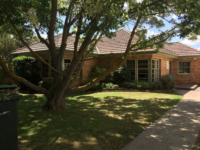 16 Panorama Road, Herne Hill VIC 3218