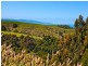 640 Great Ocean Road, Marengo VIC 3233
