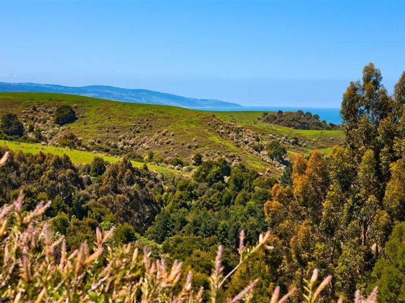640 Great Ocean Road, Marengo VIC 3233