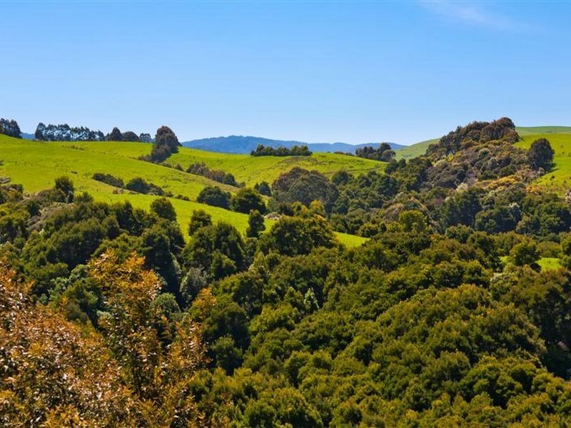 640 Great Ocean Road, Marengo VIC 3233
