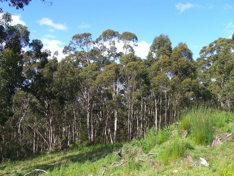 3410 Great Ocean Road, Glenaire VIC 3238