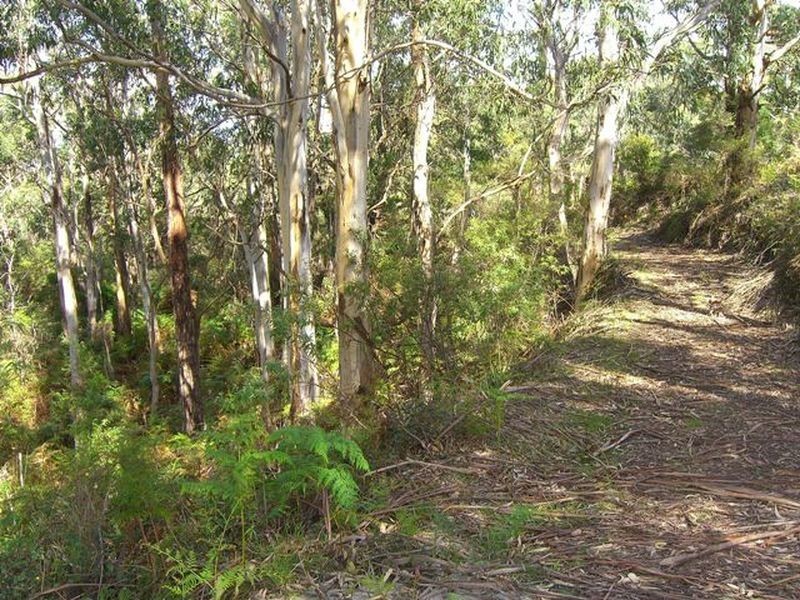 3410 Great Ocean Road, Glenaire VIC 3238