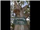 225 Pennyroyal Valley Road, Deans Marsh VIC 3235