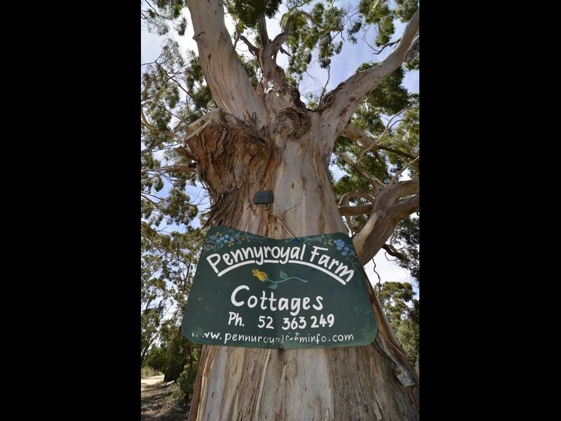 225 Pennyroyal Valley Road, Deans Marsh VIC 3235