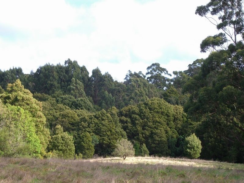 2/5035 Great Ocean Road, Lavers Hill VIC 3238