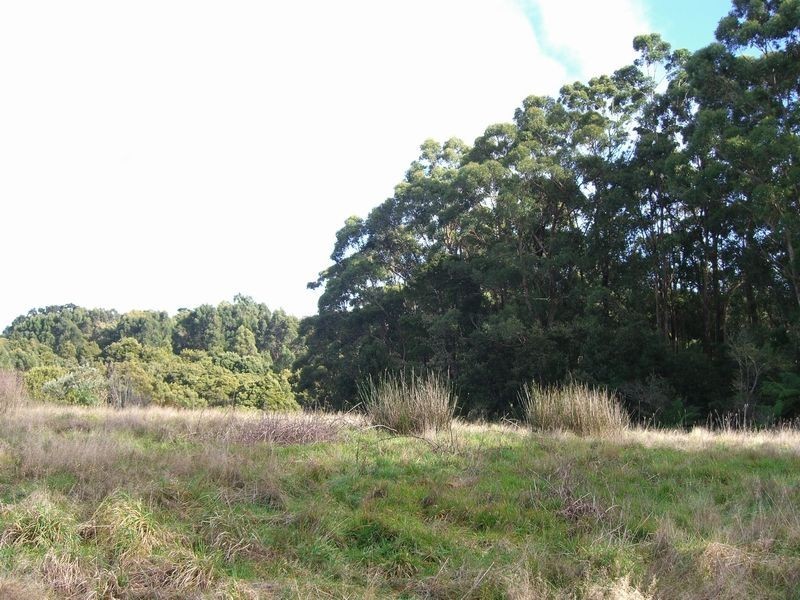 2/5035 Great Ocean Road, Lavers Hill VIC 3238