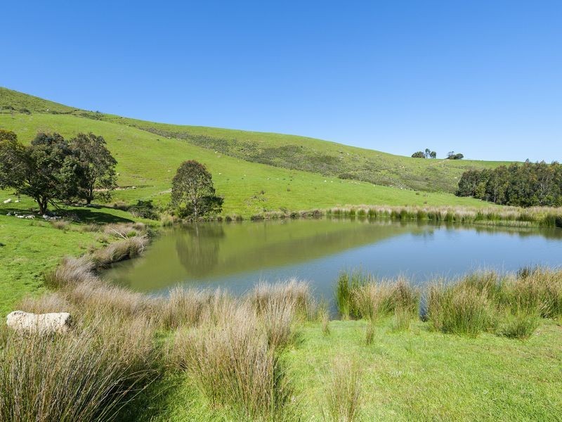 400 Barham River Road, Apollo Bay VIC 3233