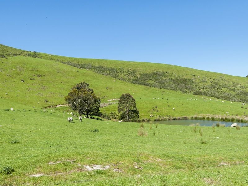 400 Barham River Road, Apollo Bay VIC 3233