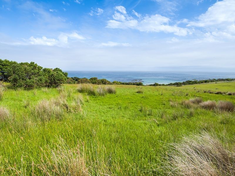 4970 Great Ocean Road, Wongarra VIC 3221
