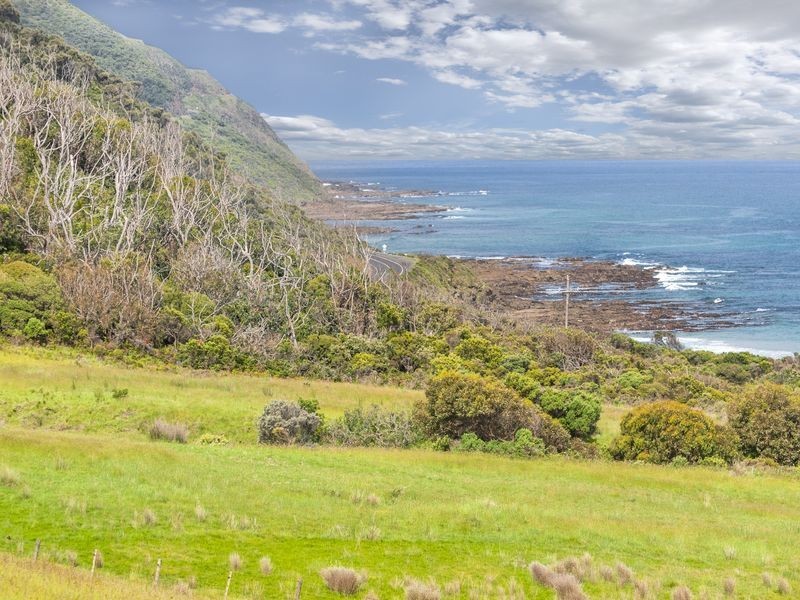 4970 Great Ocean Road, Wongarra VIC 3221