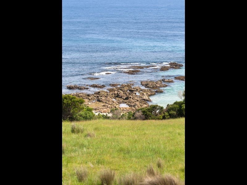 4970 Great Ocean Road, Wongarra VIC 3221