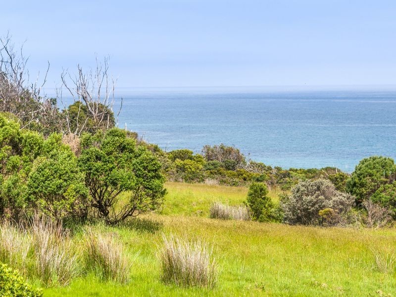 4970 Great Ocean Road, Wongarra VIC 3221