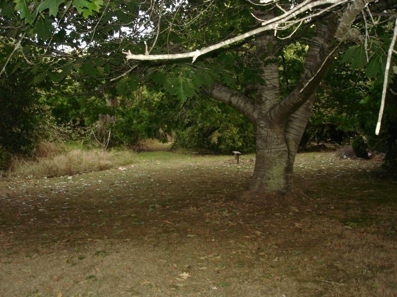 8 Blundy, Forrest VIC 3236