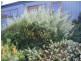 16 Otway Vista, Apollo Bay VIC 3233