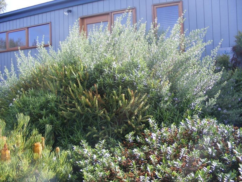 16 Otway Vista, Apollo Bay VIC 3233