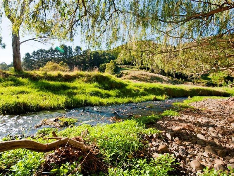 95 Wild Dog Road, Apollo Bay VIC 3233