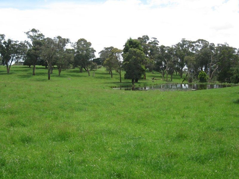 2745 Colac Forrest Road, Forrest VIC 3236