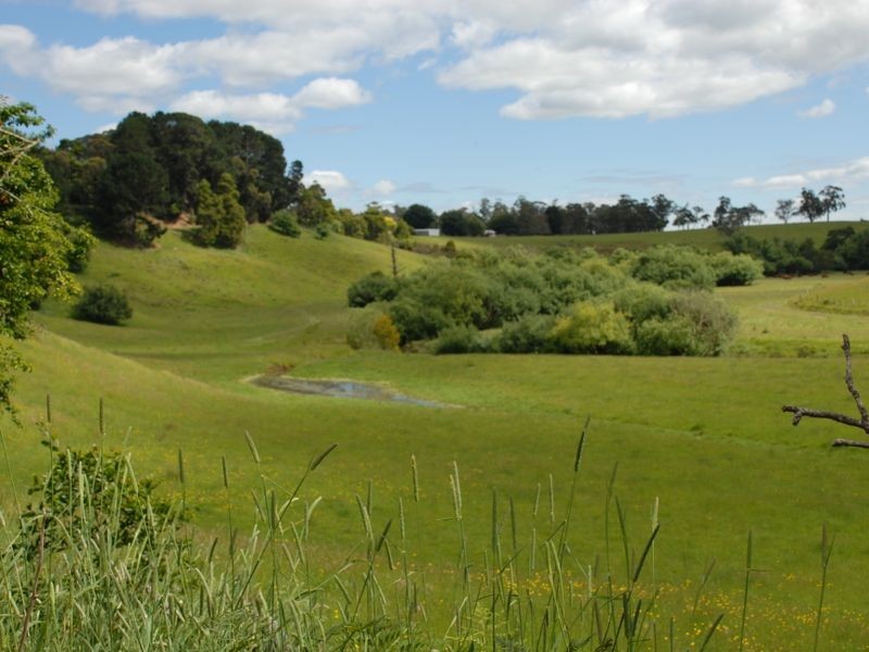 2745 Colac Forrest Road, Forrest VIC 3236