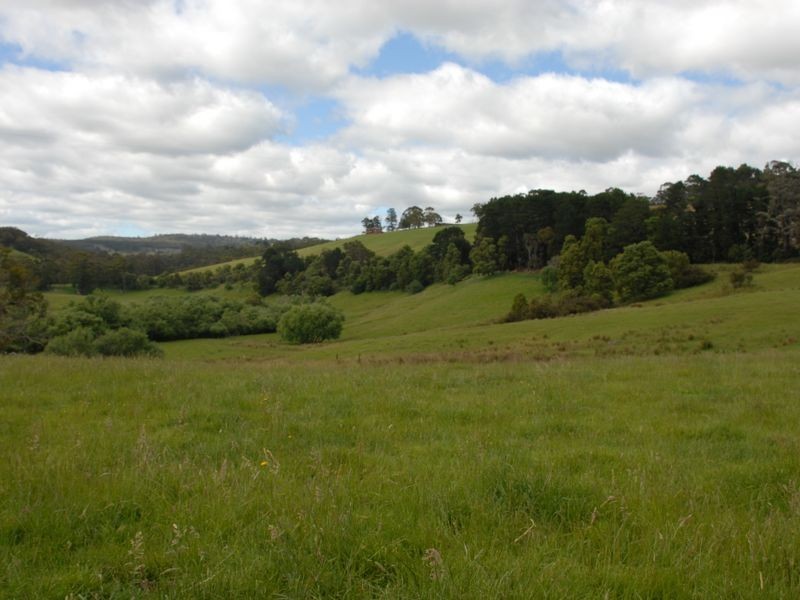 2745 Colac Forrest Road, Forrest VIC 3236