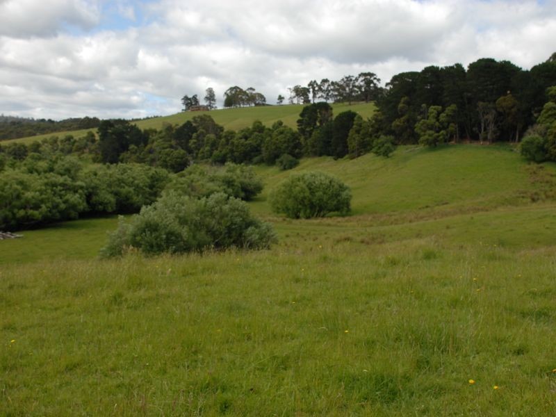 2745 Colac Forrest Road, Forrest VIC 3236