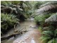 870 Forrest Apollo Bay Road, Barramunga VIC 3249
