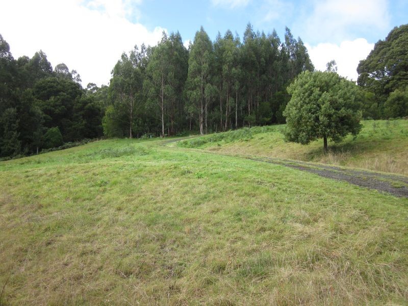 870 Forrest Apollo Bay Road, Barramunga VIC 3249