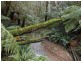 870 Forrest Apollo Bay Road, Barramunga VIC 3249