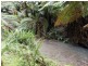 870 Forrest Apollo Bay Road, Barramunga VIC 3249