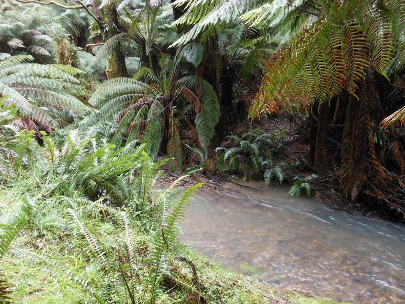 870 Forrest Apollo Bay Road, Barramunga VIC 3249
