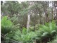 870 Forrest Apollo Bay Road, Barramunga VIC 3249