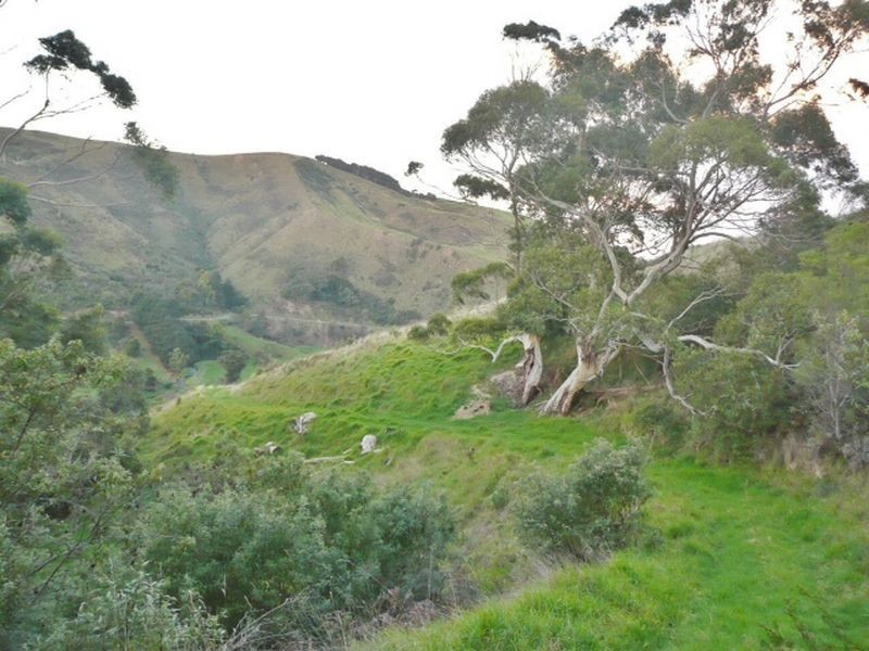 Rosella Co Wild Dog Road, Apollo Bay VIC 3233