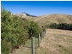 120 Montrose Avenue, Apollo Bay VIC 3233