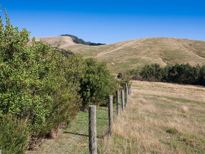 120 Montrose Avenue, Apollo Bay VIC 3233