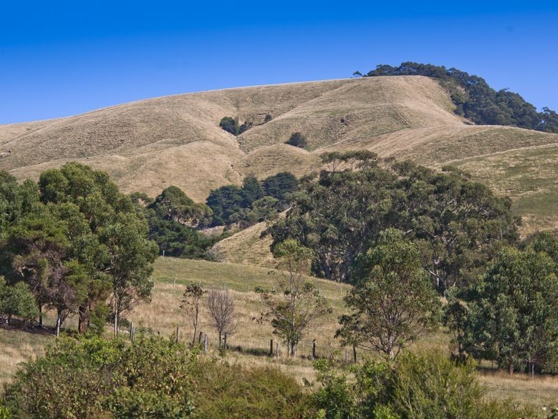 120 Montrose Avenue, Apollo Bay VIC 3233