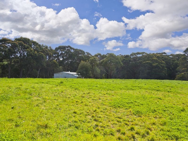 160 Red Johanna Road (Lot 1), Johanna VIC 3238