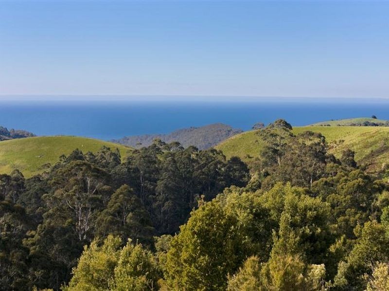 900 Wild Dog Road, Apollo Bay VIC 3233