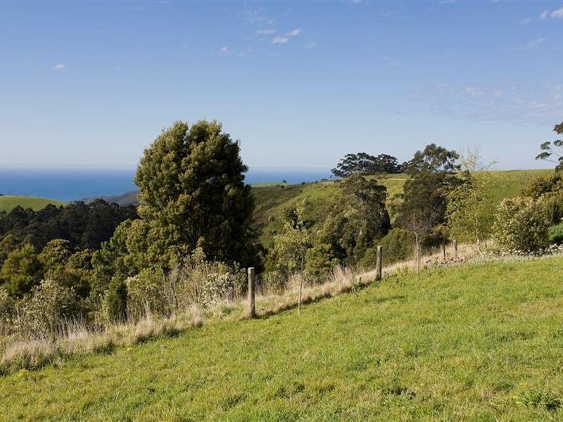 900 Wild Dog Road, Apollo Bay VIC 3233