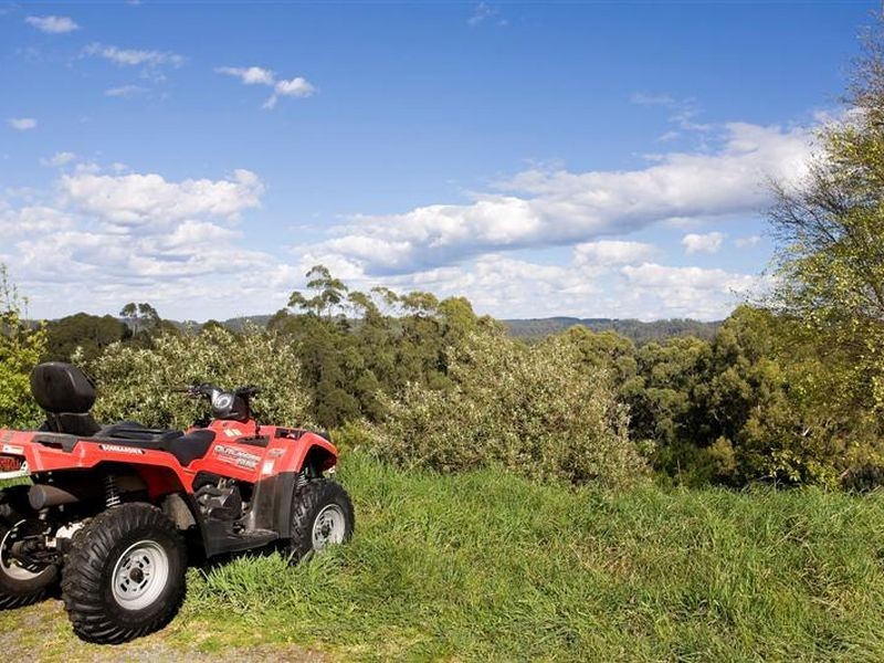 900 Wild Dog Road, Apollo Bay VIC 3233