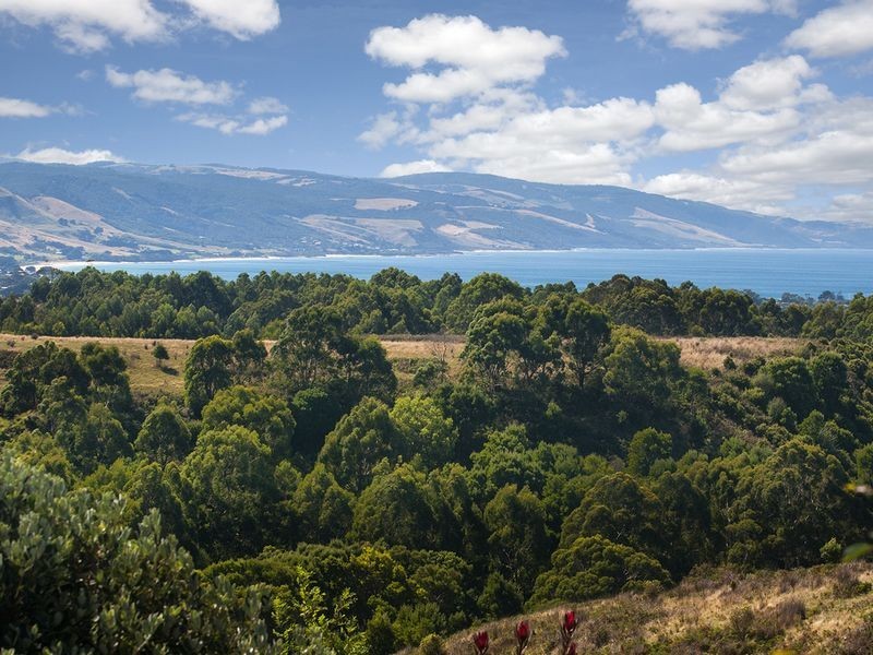 570 Great Ocean Road, Apollo Bay VIC 3233
