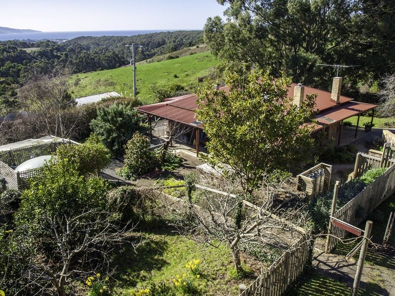 570 Great Ocean Road, Apollo Bay VIC 3233